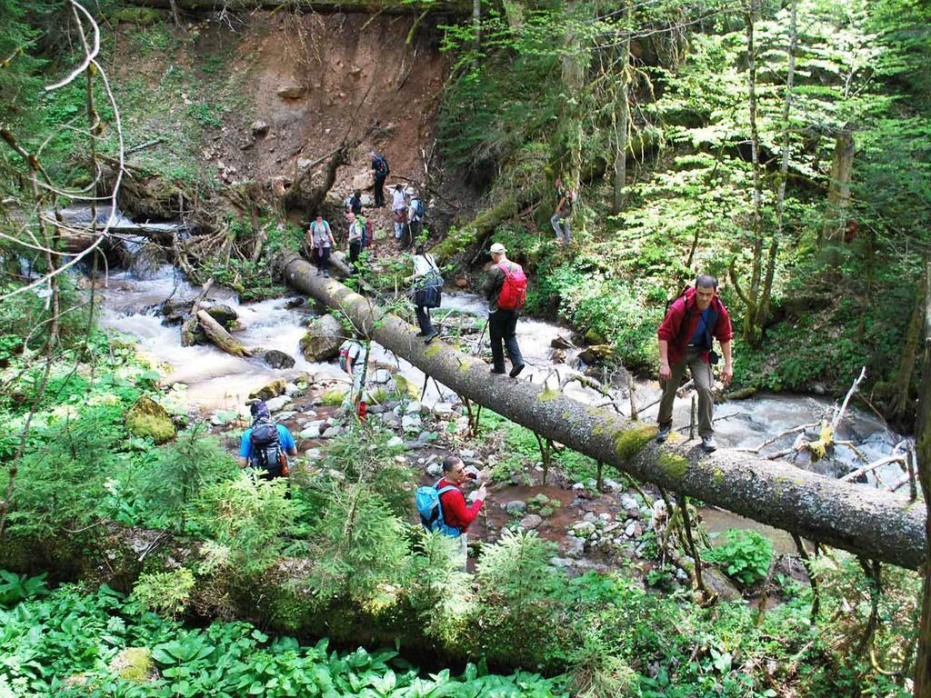 Rafting Camp Tara Center Tri Vodenice Bastasi Buitenkant foto